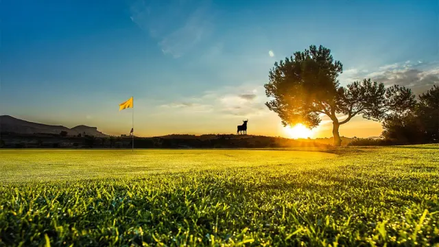 Alenda Golf - imagen del club