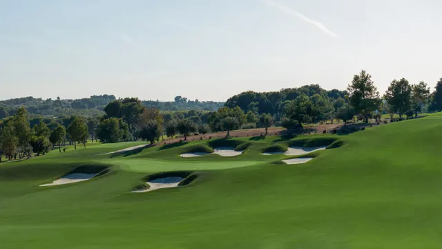 El Bosque Golf - imagen del club