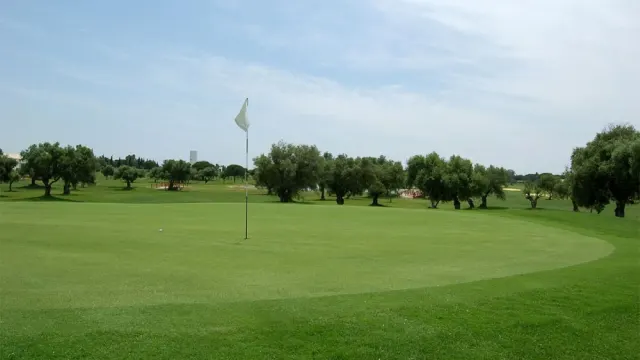 Golf Campano - imagen del club