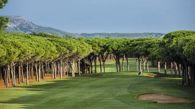 Golf de Pals - imagen del club