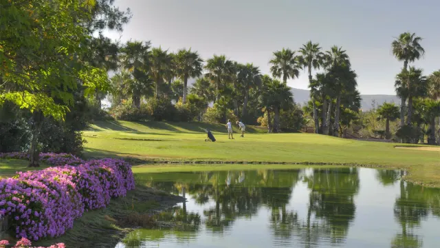 Golf Las Américas - imagen del club