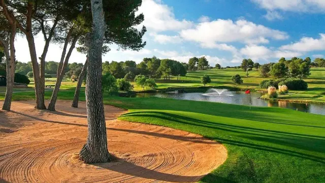 Golf Maioris - imagen del club